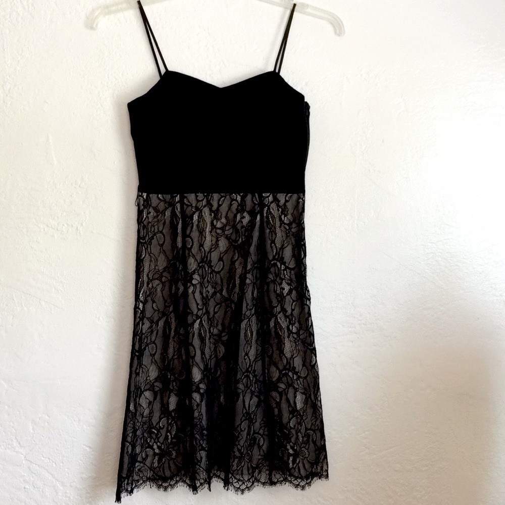 Ann Taylor fine lacy dress with scalloped hem